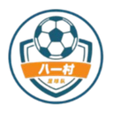 Shanghai Jinshanwei Bayi Village Football Team