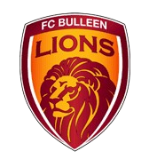 বুলিন লায়ন্স U23