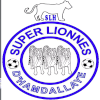 Super Lionnes Women