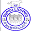 Super Lionnes Women