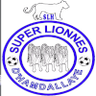 Super Lionnes Women