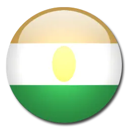 النيجر تحت 20