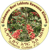 Sidama Bunna (W)