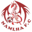 نملة فريق كرة القدم
