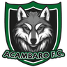 Acambaro FC