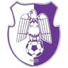 ACS Campionii FC Arges (W)