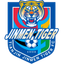 Tianjin Jinmen Tiger U13