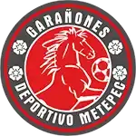 Deportivo Metepec
