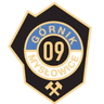 गॉर्निक 09 मिसलोविसे