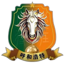 হোহোট দল