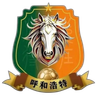 হোহোট দল