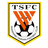 Shandong Taishan B