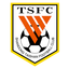 Shandong Taishan B