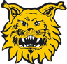 FC Ilves II U20