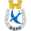 Dungannon Swifts
