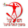 Hapoel Dalyat El Carmel