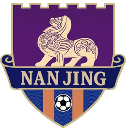 Nanjing Team