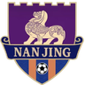 Nanjing Team