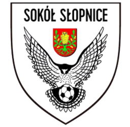 সোকল স্লোপনিসে