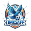 Ji'nan Linksafe