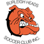বার্লি হেডস