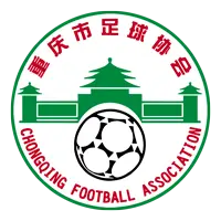 Chongqing Youth Training U15