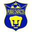 Pumas Chapacos