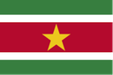 Fútbol sala de Surinam