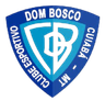 Dom Bosco MT Youth