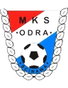 Odra Ścinawa