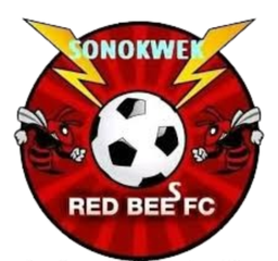 Red Bees