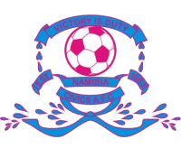 سيفكس الناميبي