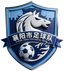 Xiangyang Team