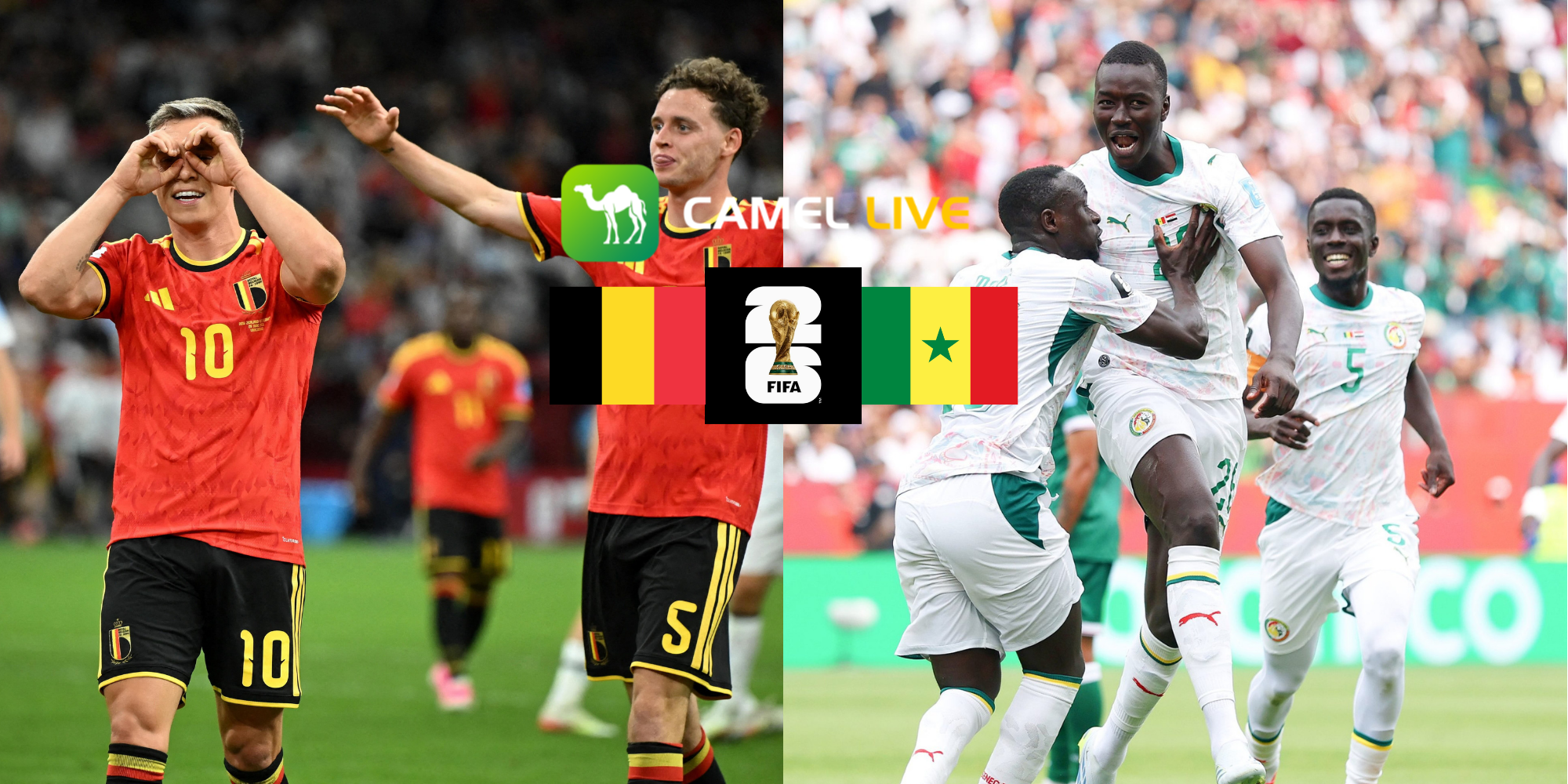 【Klik untuk mendapatkan avatar GRATIS untuk tim dukungan Anda】Cara Menonton Babak 32 Besar Piala Dunia Belgia vs Senegal: Live Stream Gratis, saluran TV, dan Waktu Mulai