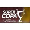 Piala Super Kosta Rika