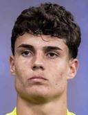 Vitor Lamounier Rego