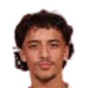 hasan ayyildiz
