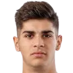 Vinko Bicanic