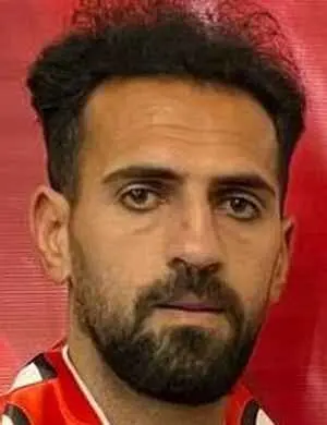 Seyed Ahad Shafiei