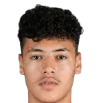 Ali Nader Mahmoud