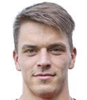 Robin holik