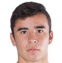 Fernando Illescas