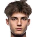N. Grlić