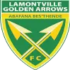 Lamontville Golden Arrows Reservas Lamontville Golden Arrows Reservas