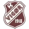 Vigor Sub-19 Vigor Sub-19