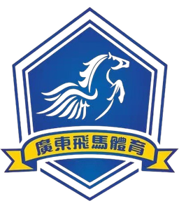Guangdong Feima Guangdong Feima