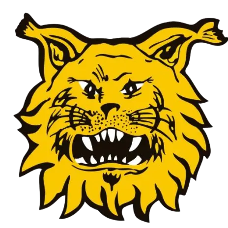 FC Ilves Sub-21