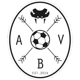 Aarhus Black Vipers