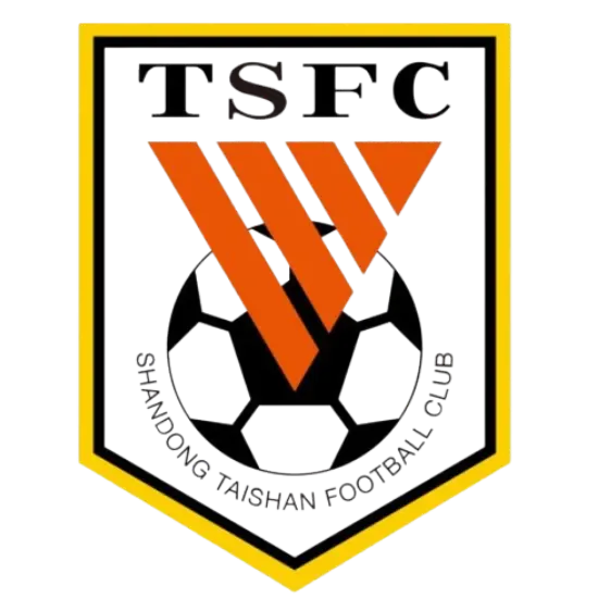 Taishan Football School U16