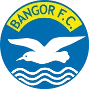 Bangor Sub-20